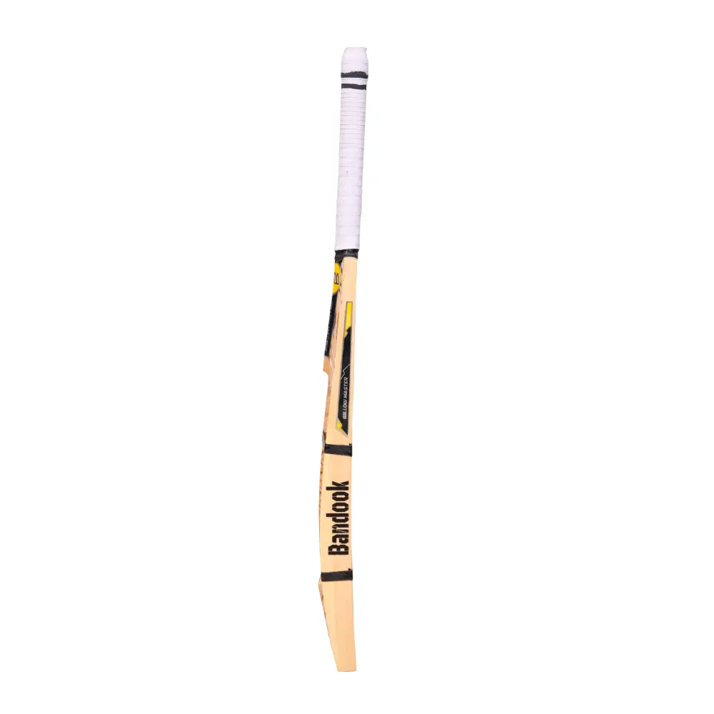 Willow Master Malhar Tennis Kashmir Willow Cricket Bat - Image 3