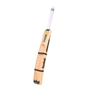 Willow Master Malhar Tennis Kashmir Willow Cricket Bat