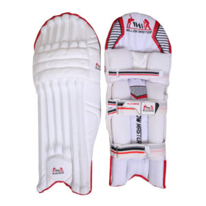 Cricket Pad