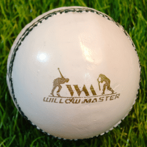 Willow Master Cricket White Leather Balls