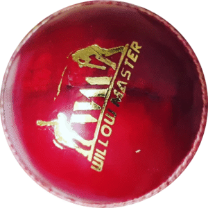 Willow Master Cricket Red Leather Balls